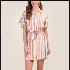 SOLD OUT!! Francesca's Mira Ruffle Sleeve Shift Dress